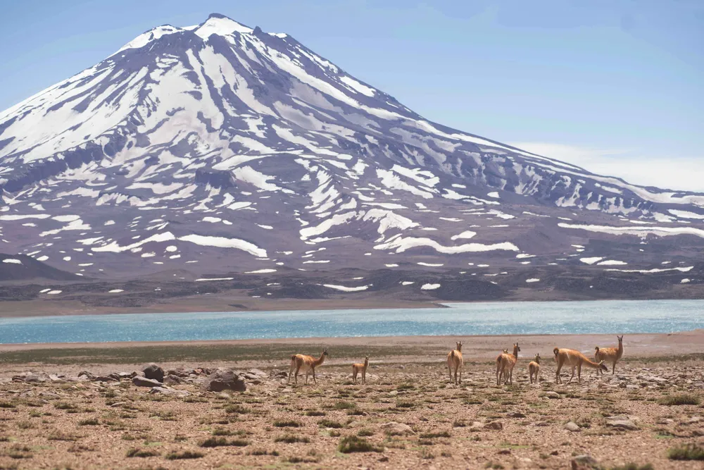 Postal de la Laguna del Diamante