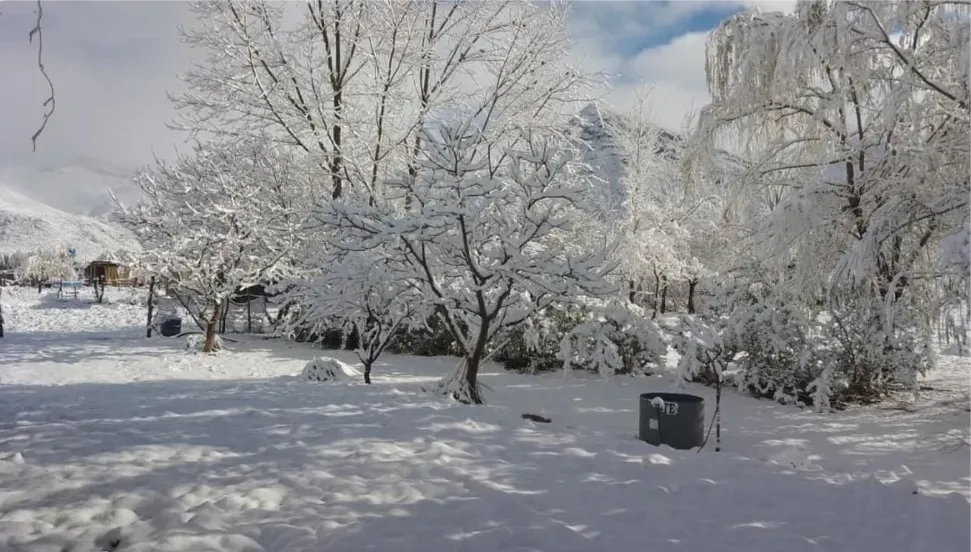 manzano-historico-nieve