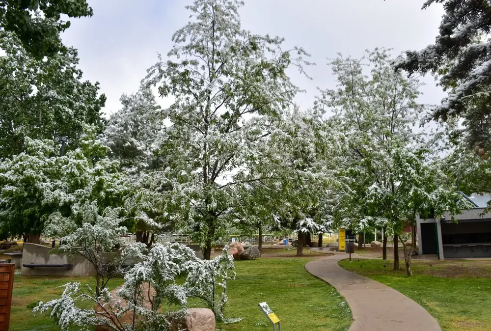 566692248_18491440039075322_8124956513794729470_n