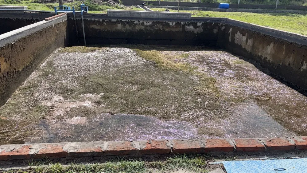 Decantador Cuadro Benegas