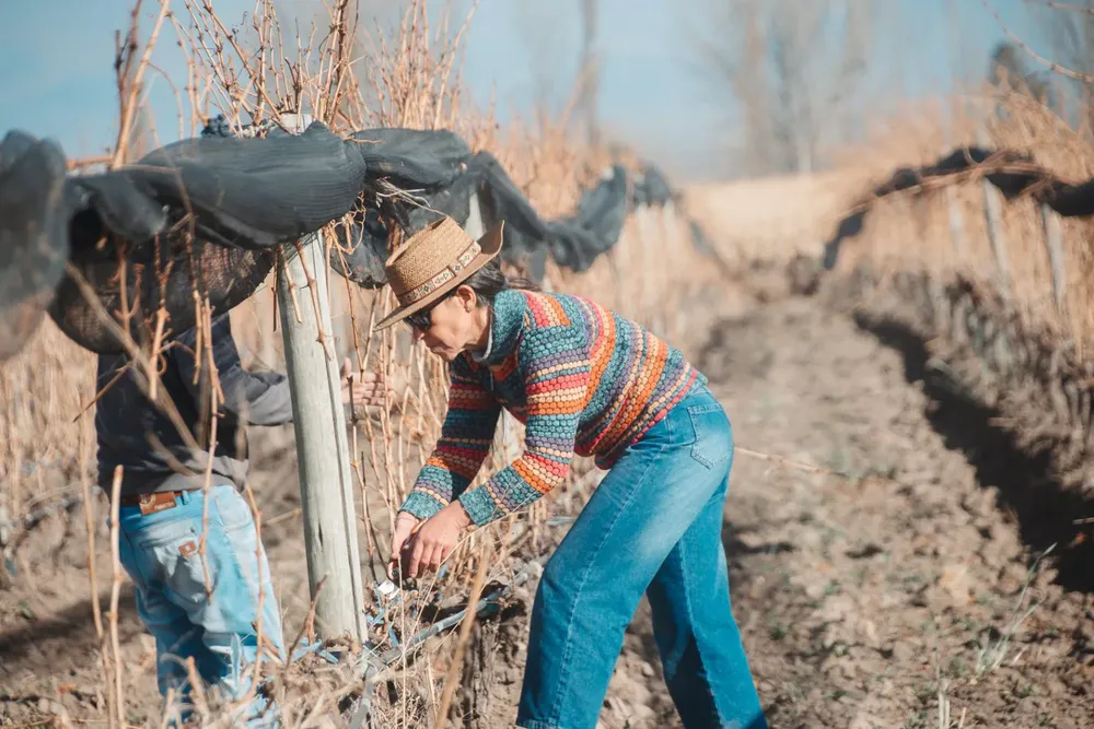 Festival-de-Poda-Tupungato-2025-3-1536x1024