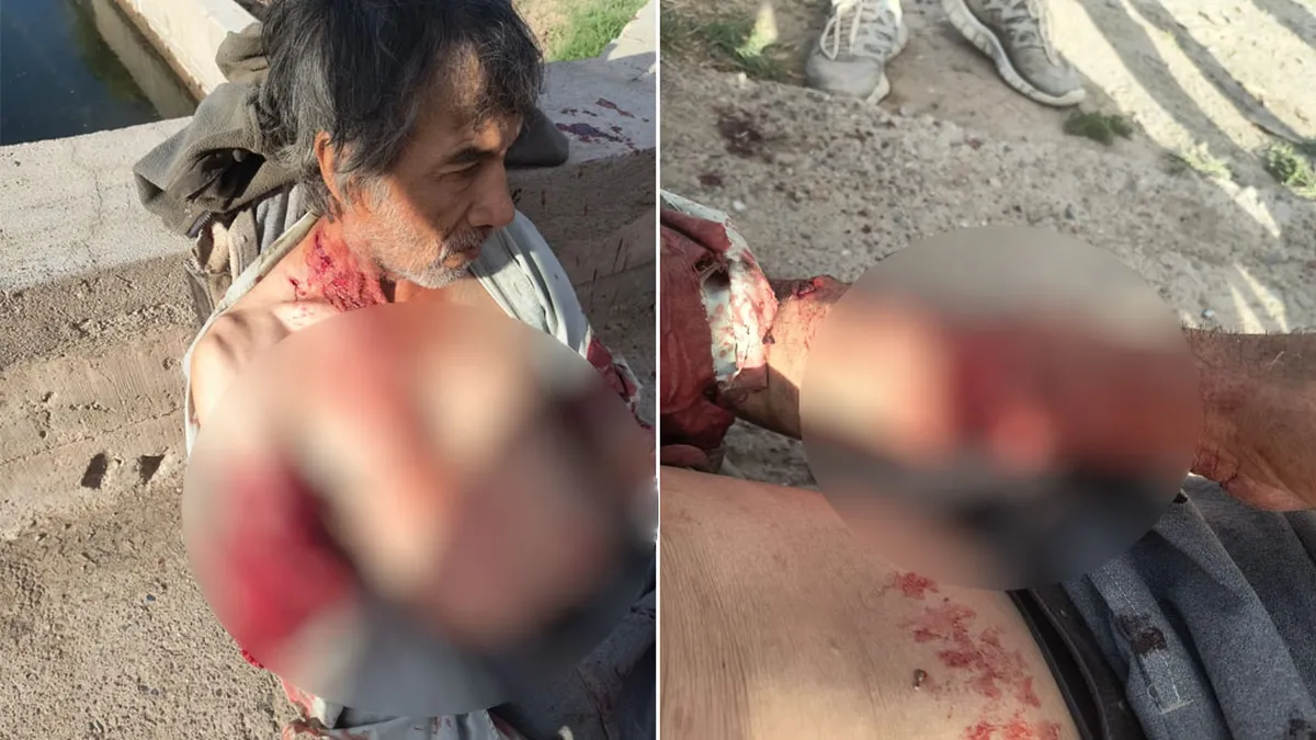 perros-lavalle-ataque-galpon-ajo-2