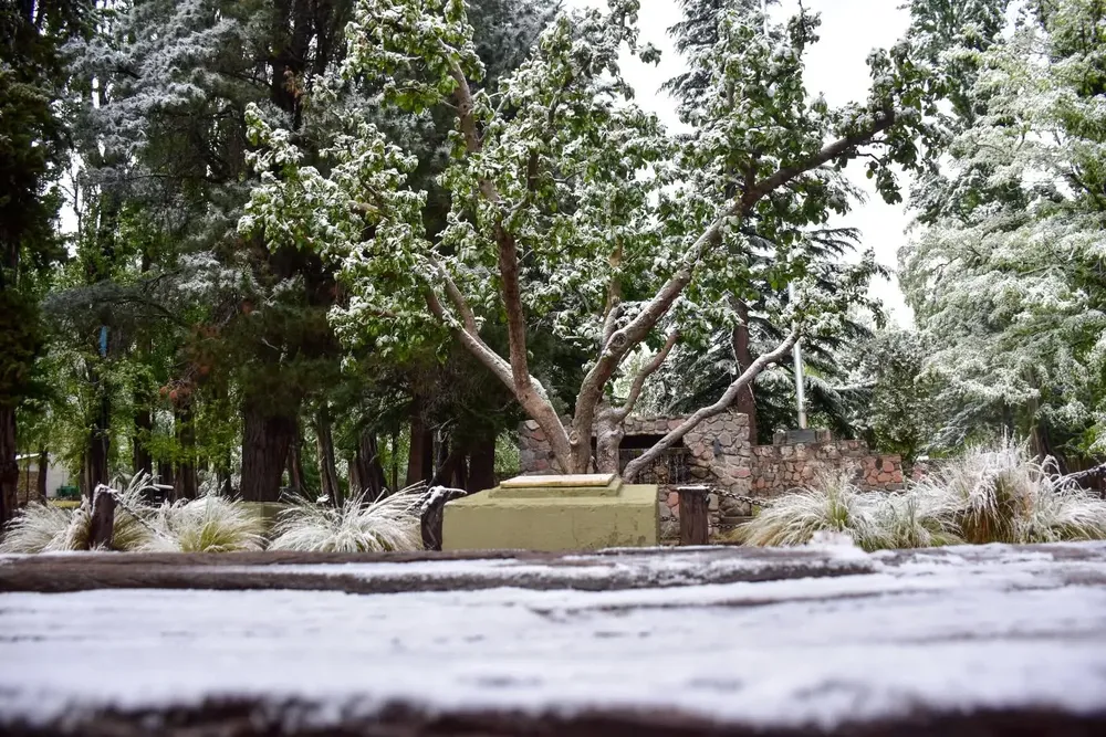 571129038_18491440021075322_4763875115942806518_n