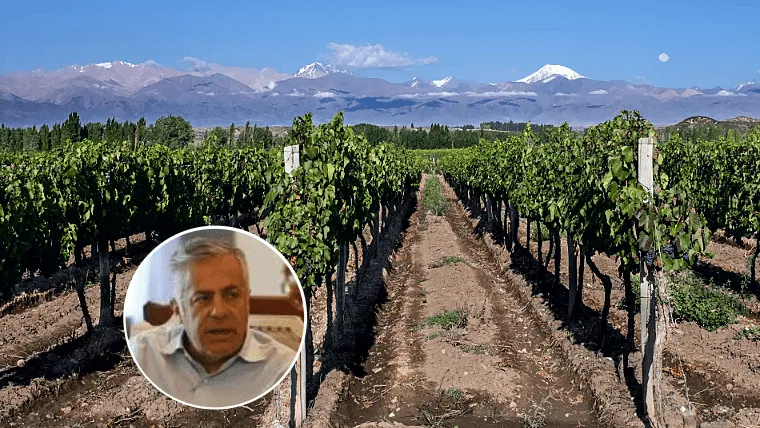 vitivinicultura cornejo