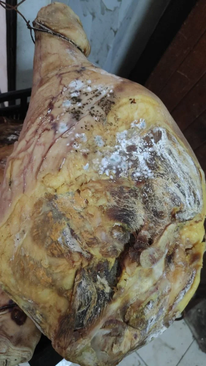 Jamón en mal estado La Consulta San Carlos