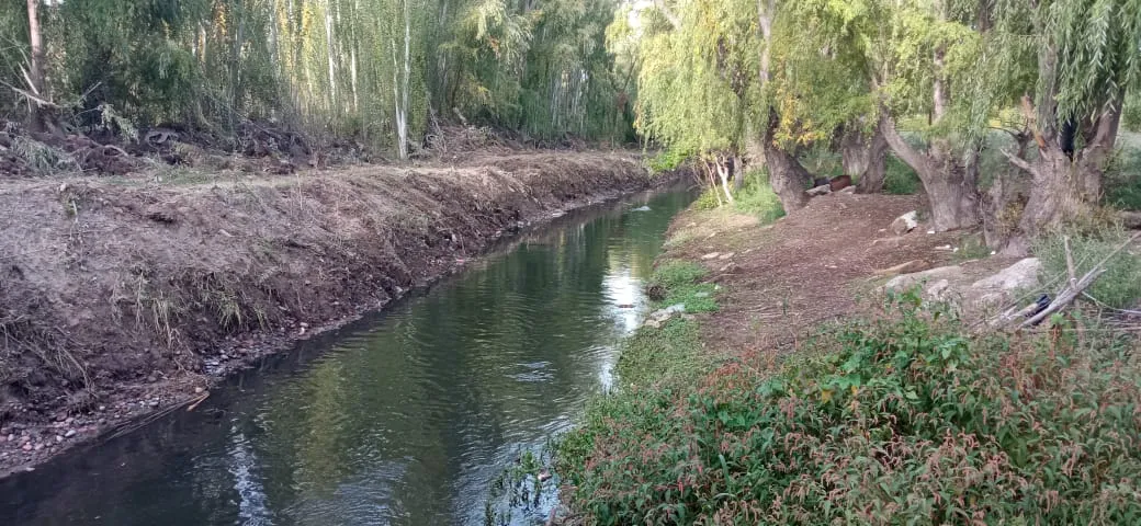 limpieza-Arroyo Claro