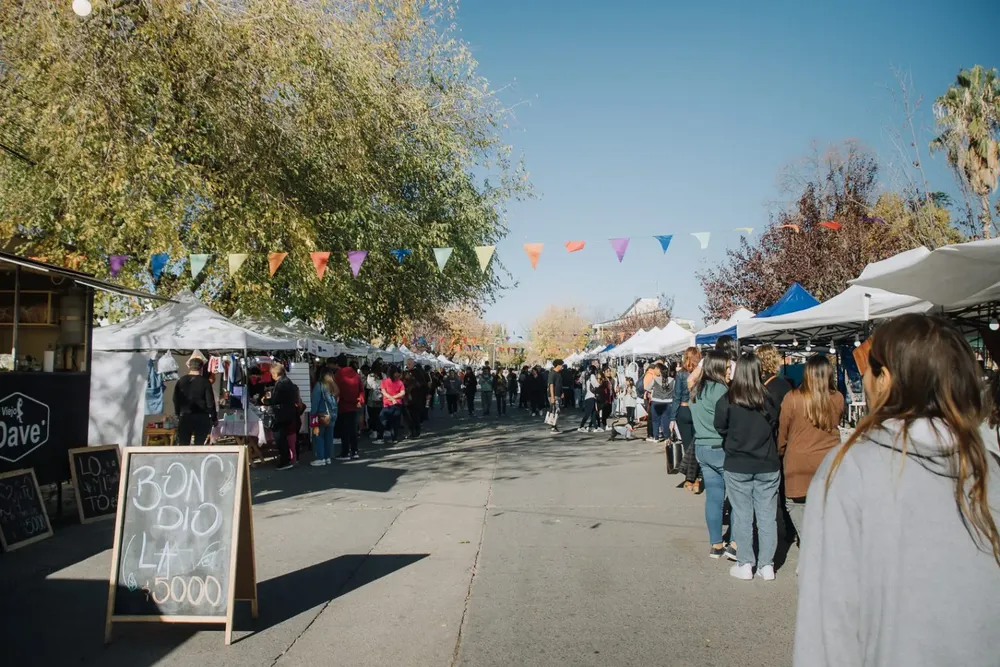 Festival-de-la-Nuez-y-de-los-Vinos-Tgto.-6-1536x1024