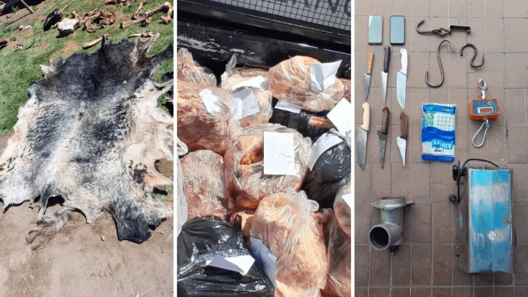 Faenamiento ilegal valle de uco