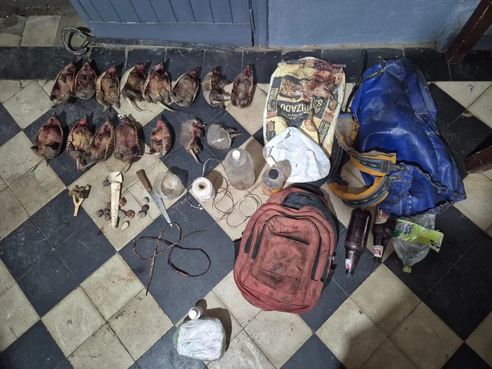 caza animales san carlos