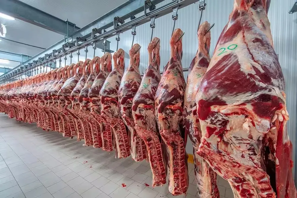 se-registro-un-incremento-el-consumo-carne-enero-y-febrero-este-ano-respecto-2024
