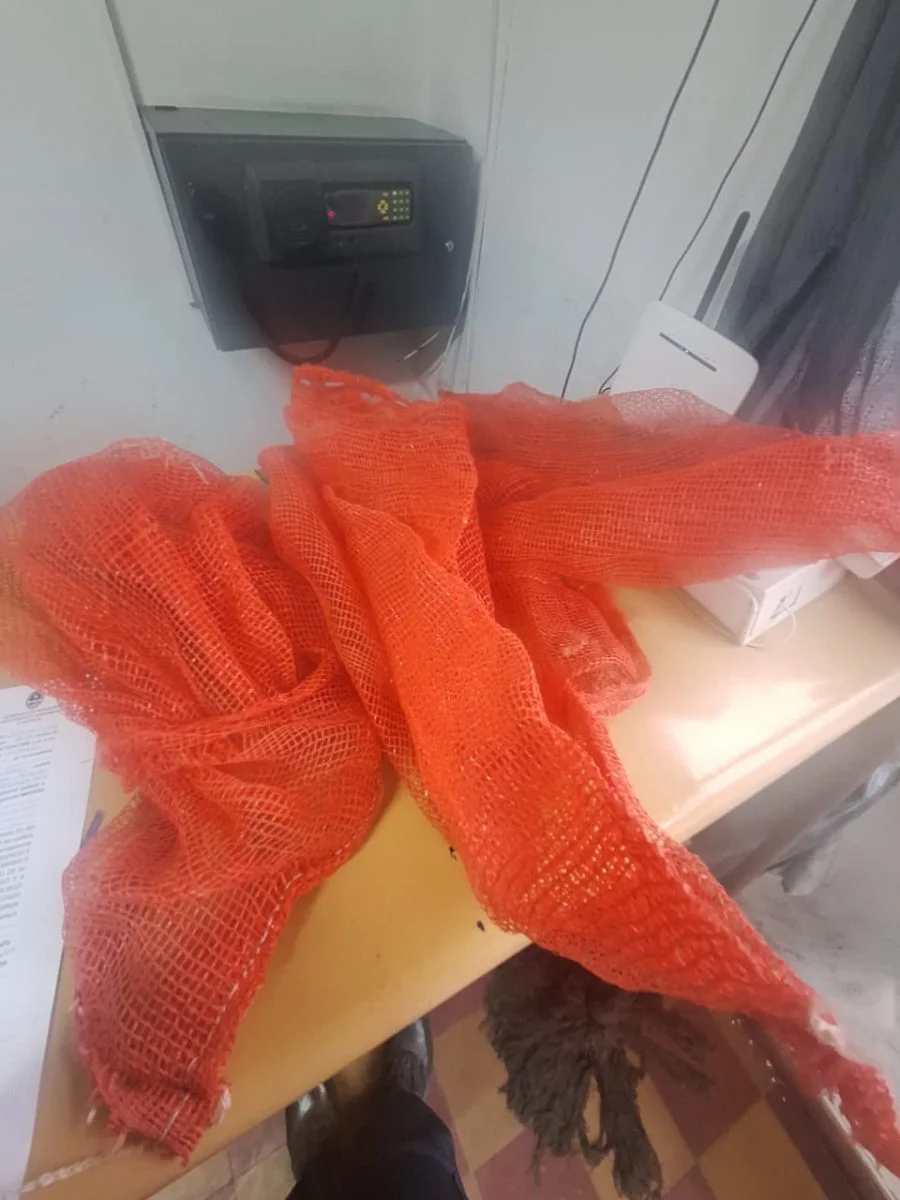 bolsas para robar nueces