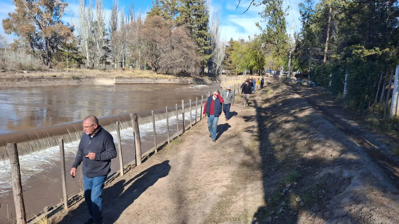 Irrigación Altamira4