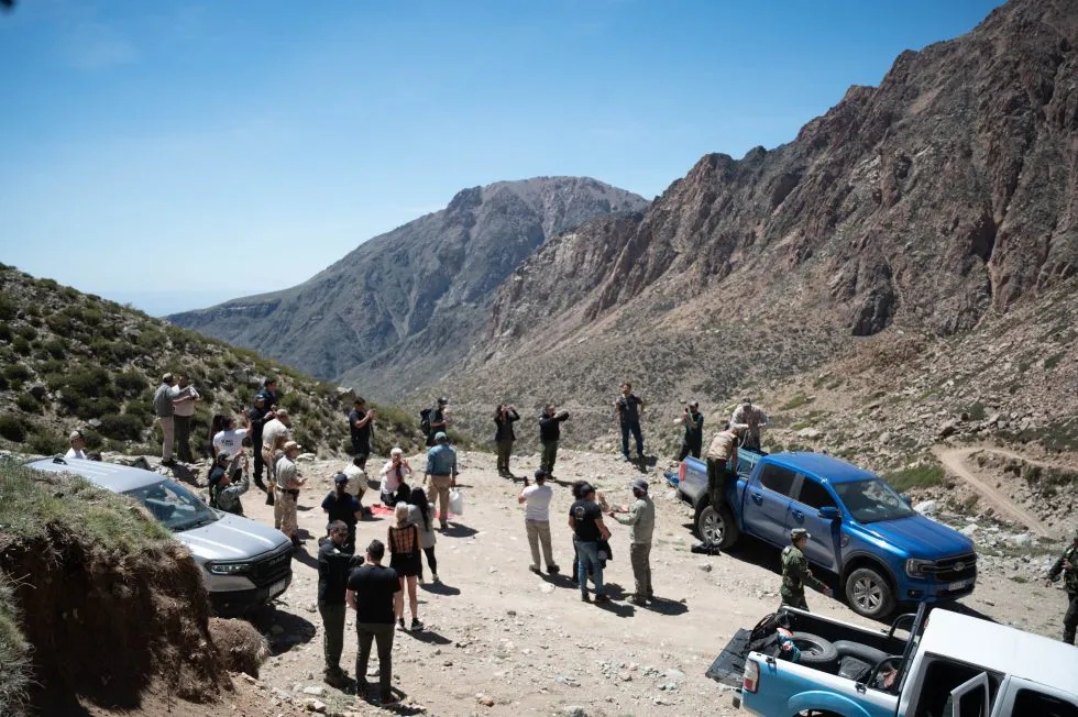 cóndor liberado tunuyán