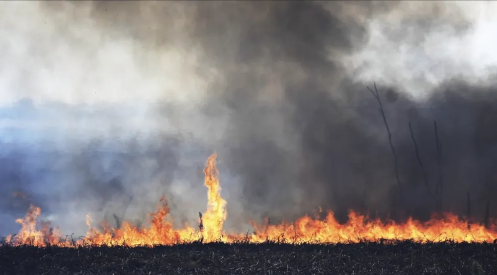incendio-forestal-mendoza