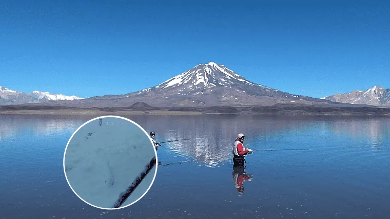 Nieve Laguna del DIamante