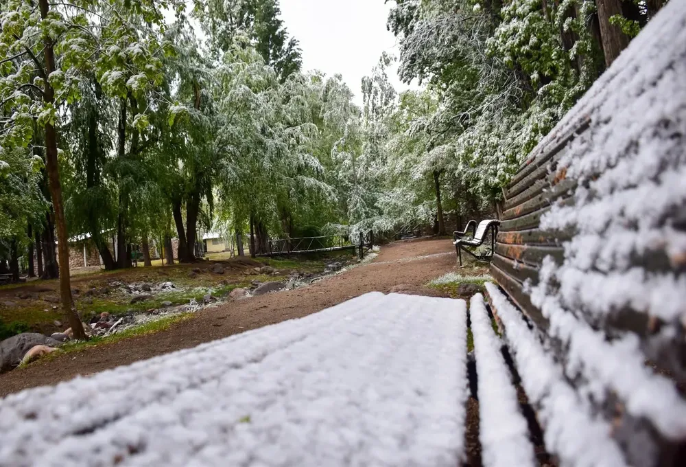 570501897_18491440003075322_6655113909353805133_n