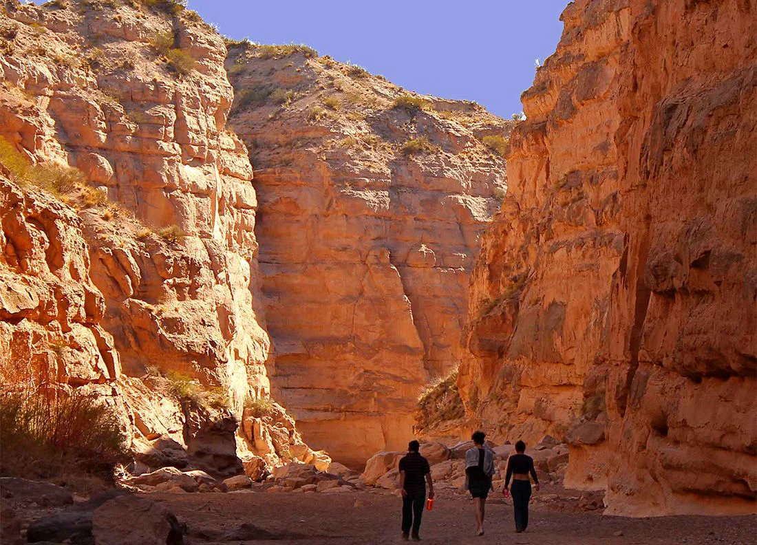 Huayquerias-en-San-Carlos