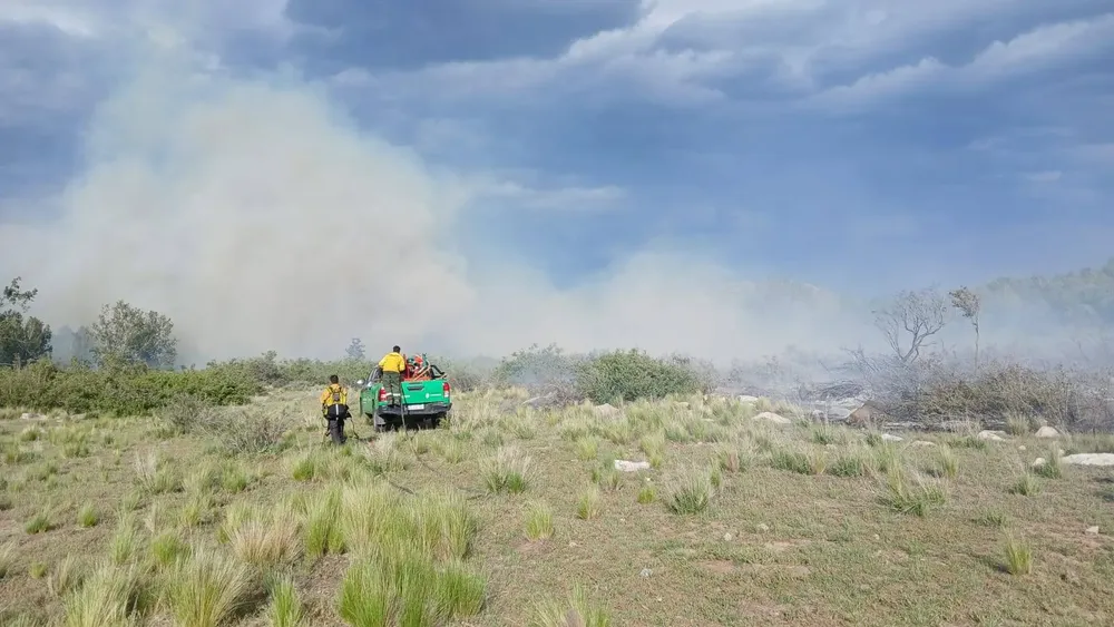 Incendio Forestal zonda tunuyán