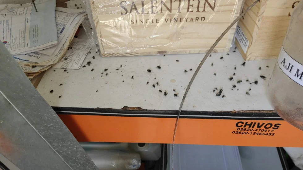 WhatsApp-Image-2026-04-03-at-15.45.54-980x551