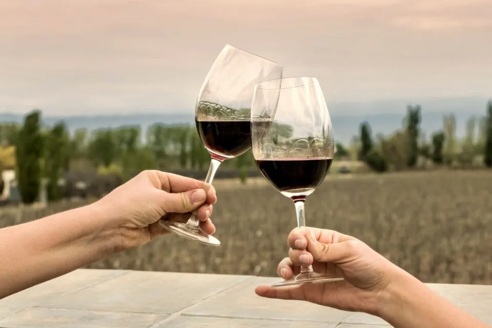 Vino Vivo en La Consulta