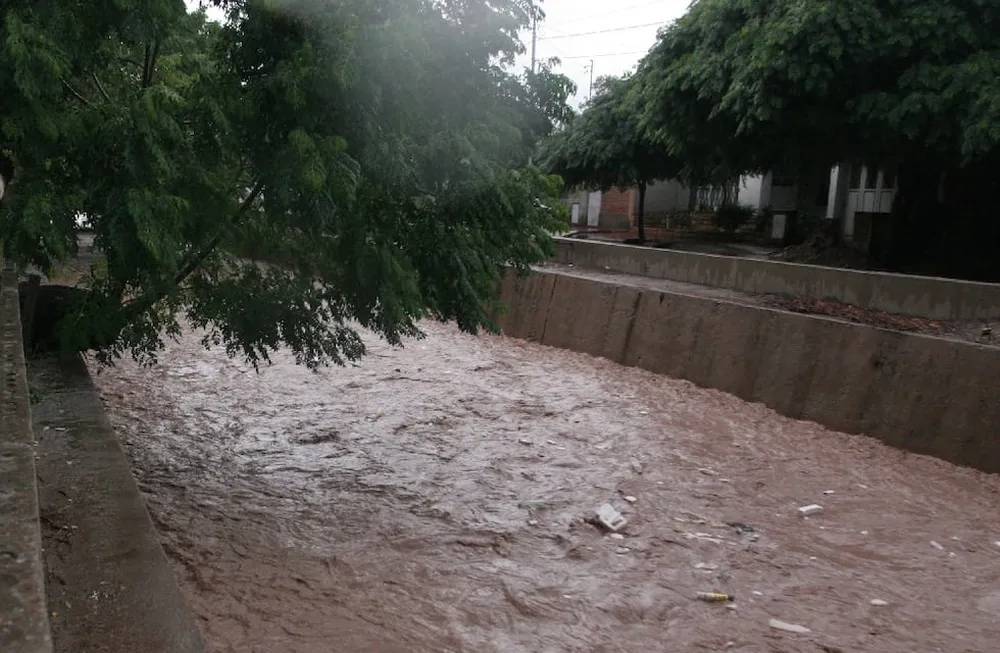 zanjón de los ciruelos