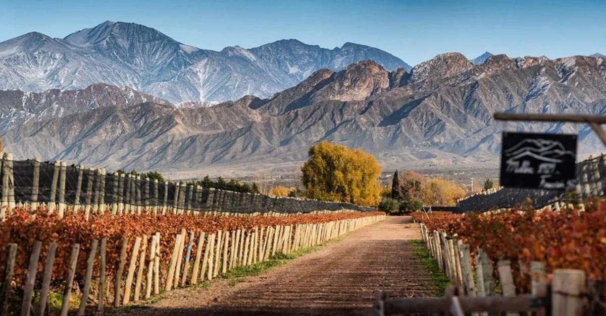 Turismo en Mendoza con 75 mil visitantes