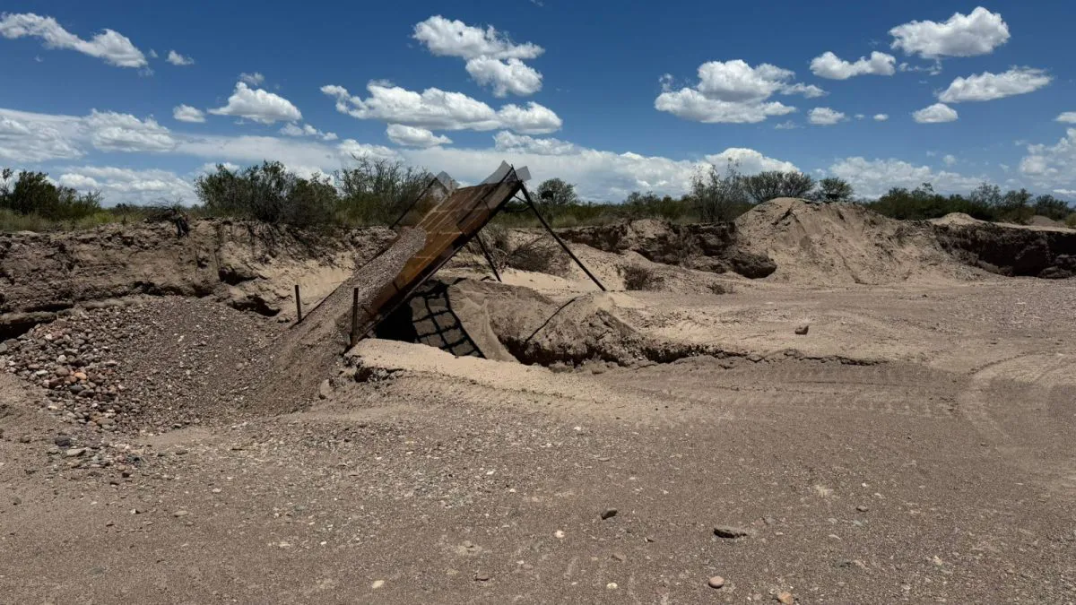 Clausura mina el carrizal
