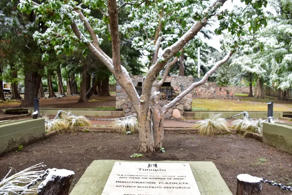 572781776_18491440030075322_8629380725122445542_n