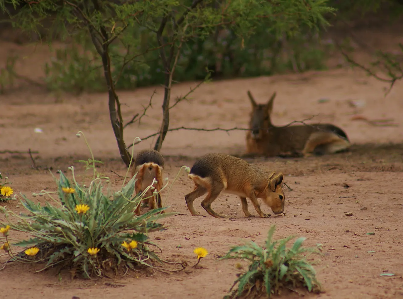 naturaleza mendoza-