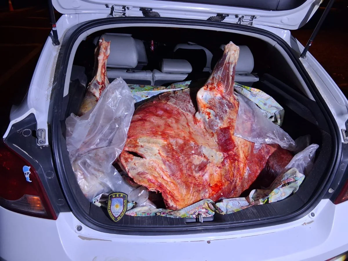 robo animales carneo san carlos