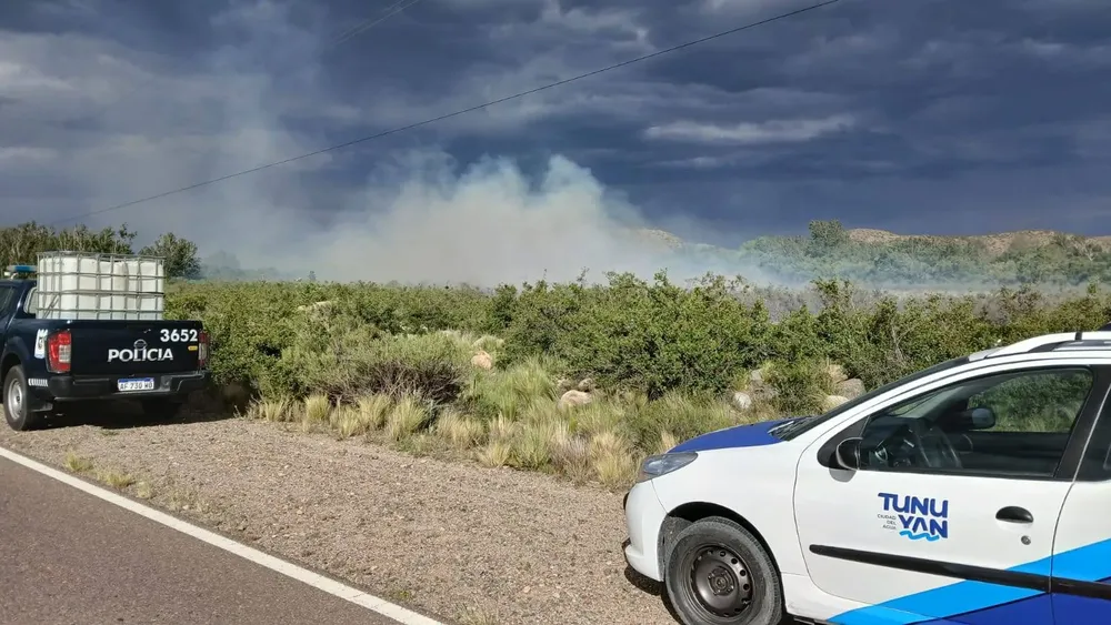 Zonda incendio forestal tunuyán
