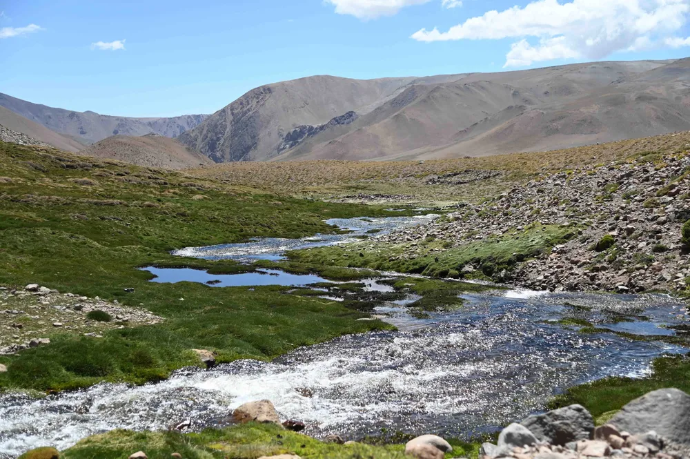 Arroyo en Laguna del Diamante