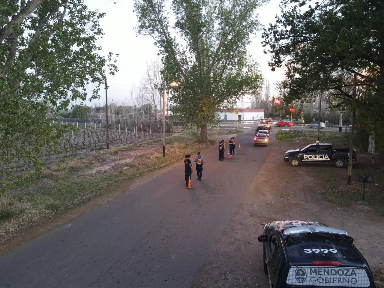 operativo La Consulta