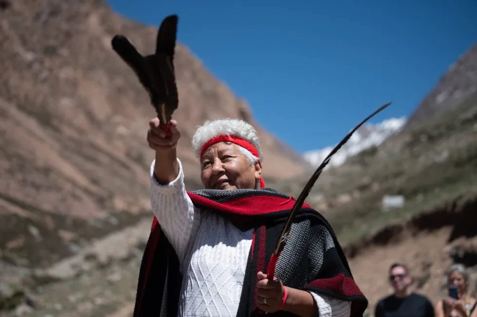 cóndor liberado en Tunuyán